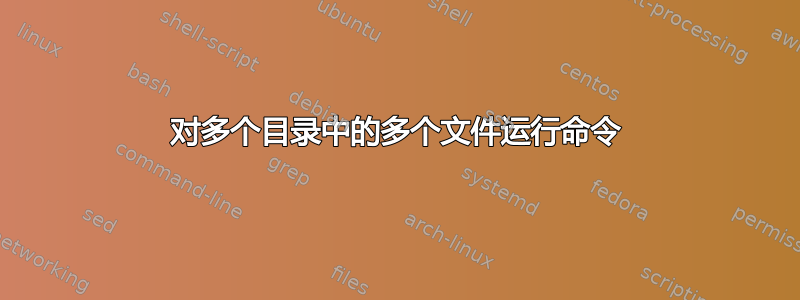 对多个目录中的多个文件运行命令