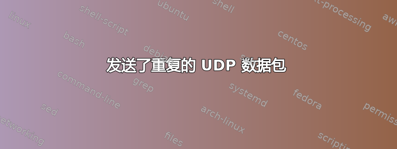 发送了重复的 UDP 数据包