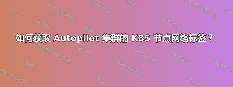 如何获取 Autopilot 集群的 K8S 节点网络标签？