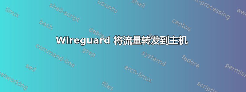 Wireguard 将流量转发到主机