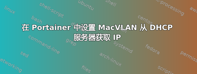 在 Portainer 中设置 MacVLAN 从 DHCP 服务器获取 IP