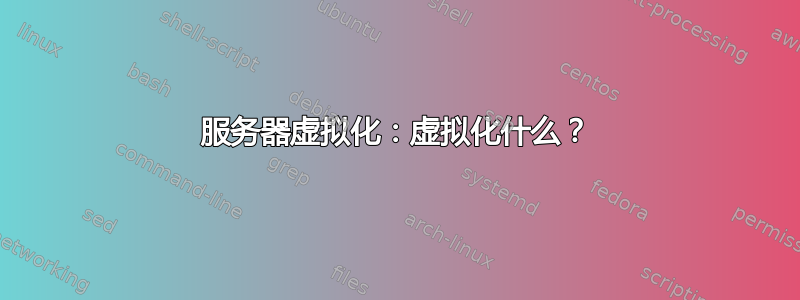 服务器虚拟化：虚拟化什么？