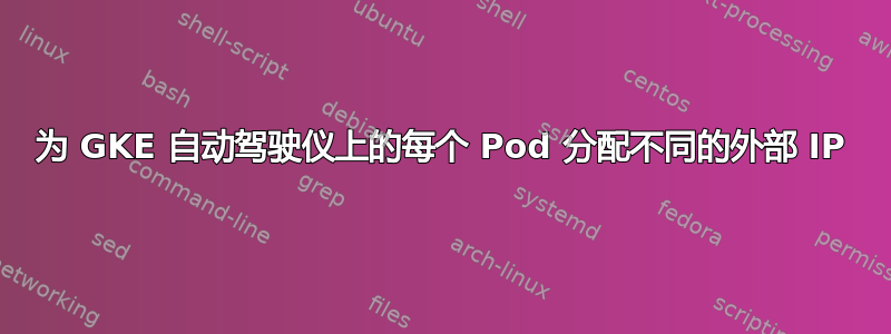 为 GKE 自动驾驶仪上的每个 Pod 分配不同的外部 IP