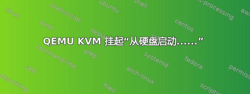 QEMU KVM 挂起“从硬盘启动......”