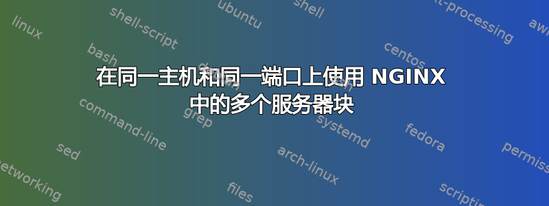 在同一主机和同一端口上使用 NGINX 中的多个服务器块