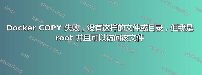 Docker COPY 失败，没有这样的文件或目录，但我是 root 并且可以访问该文件