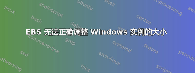 EBS 无法正确调整 Windows 实例的大小