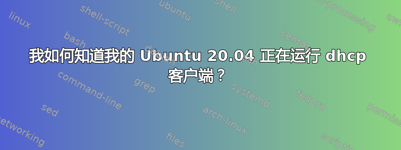 我如何知道我的 Ubuntu 20.04 正在运行 dhcp 客户端？