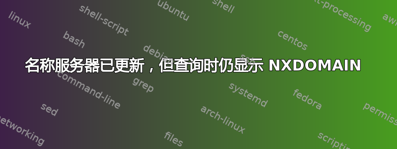 名称服务器已更新，但查询时仍显示 NXDOMAIN 