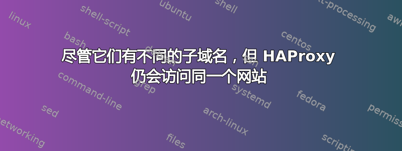 尽管它们有不同的子域名，但 HAProxy 仍会访问同一个网站