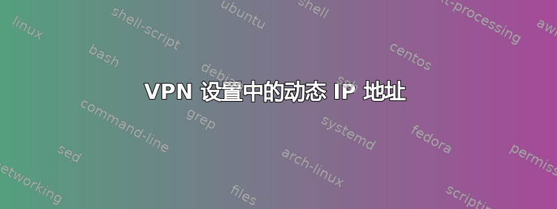 VPN 设置中的动态 IP 地址