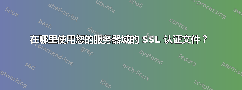 在哪里使用您的服务器域的 SSL 认证文件？