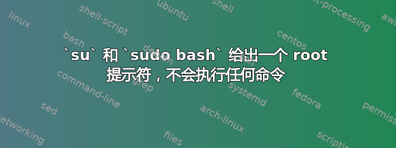 `su` 和 `sudo bash` 给出一个 root 提示符，不会执行任何命令