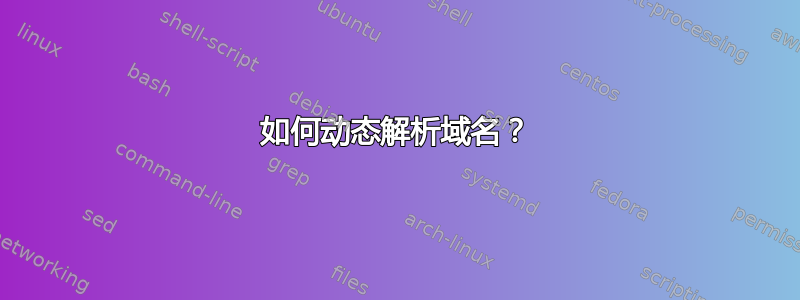 如何动态解析域名？