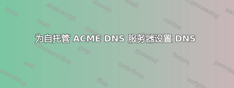 为自托管 ACME DNS 服务器设置 DNS