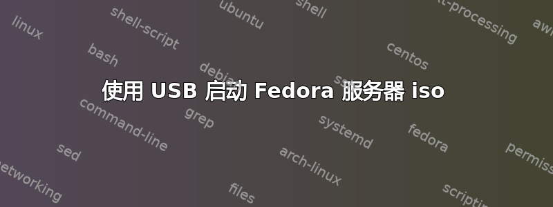 使用 USB 启动 Fedora 服务器 iso