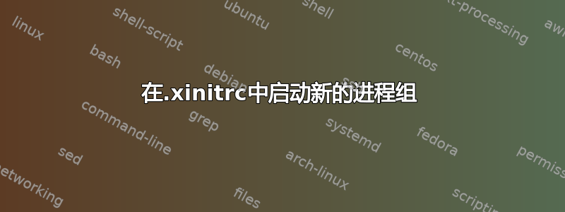 在.xinitrc中启动新的进程组