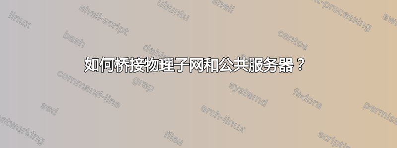 如何桥接物理子网和公共服务器？