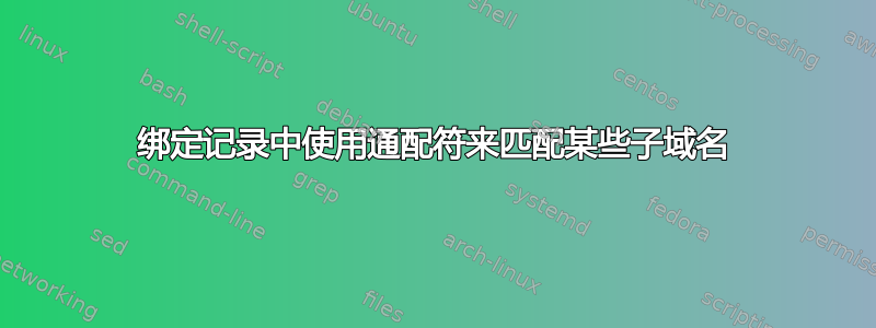 绑定记录中使用通配符来匹配某些子域名