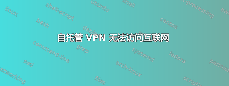 自托管 VPN 无法访问互联网