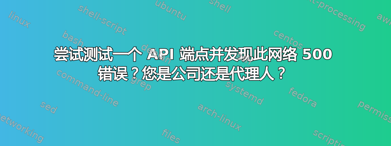 尝试测试一个 API 端点并发现此网络 500 错误？您是公司还是代理人？