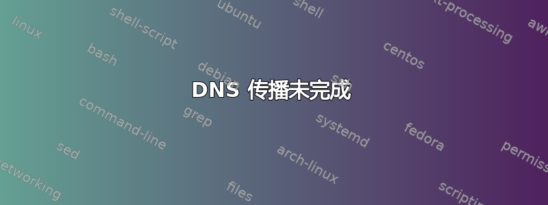 DNS 传播未完成