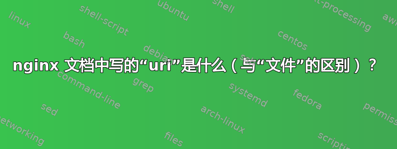 nginx 文档中写的“uri”是什么（与“文件”的区别）？