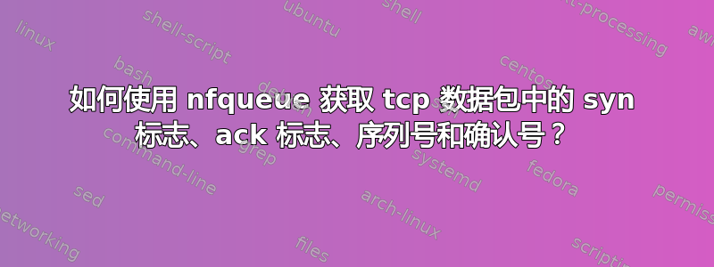 如何使用 nfqueue 获取 tcp 数据包中的 syn 标志、ack 标志、序列号和确认号？