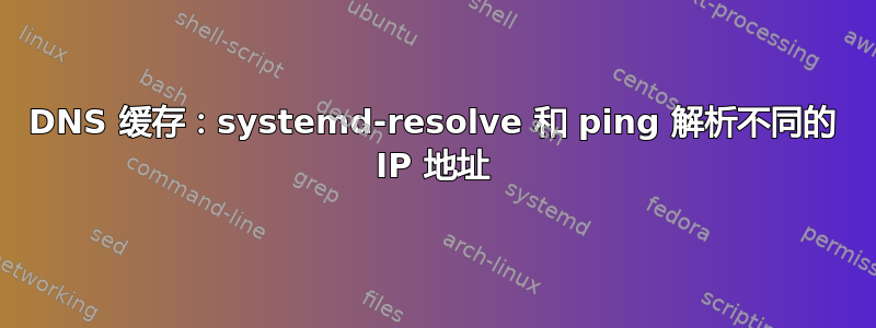 DNS 缓存：systemd-resolve 和 ping 解析不同的 IP 地址