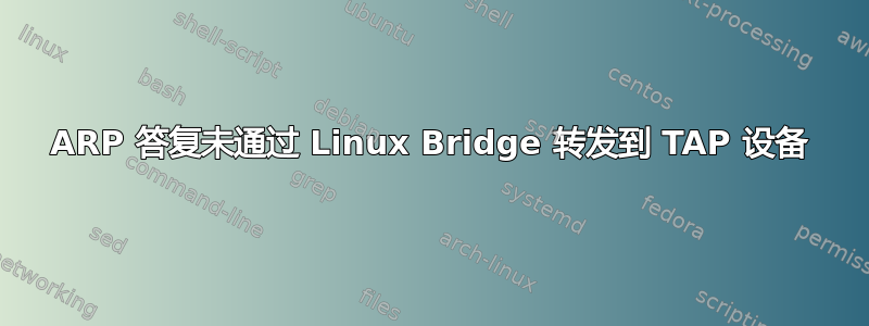 ARP 答复未通过 Linux Bridge 转发到 TAP 设备