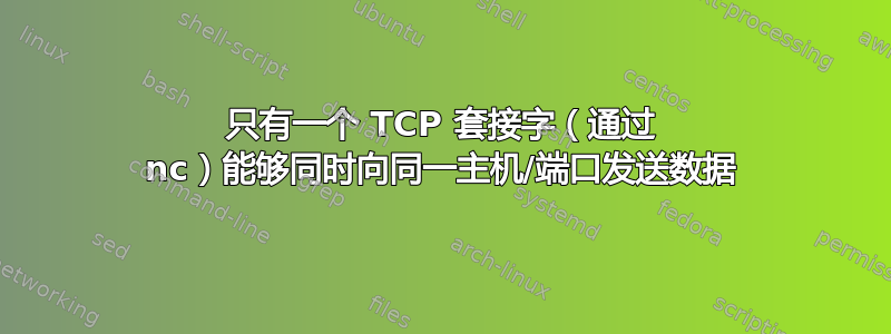 只有一个 TCP 套接字（通过 nc）能够同时向同一主机/端口发送数据