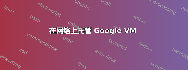 在网络上托管 Google VM