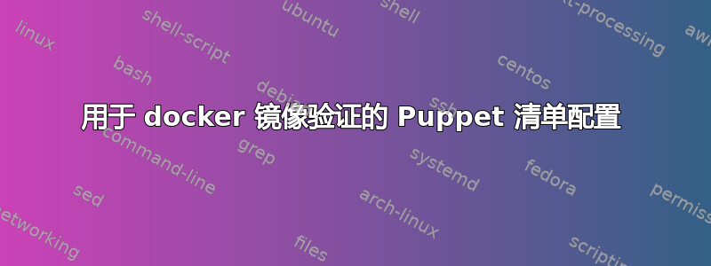 用于 docker 镜像验证的 Puppet 清单配置