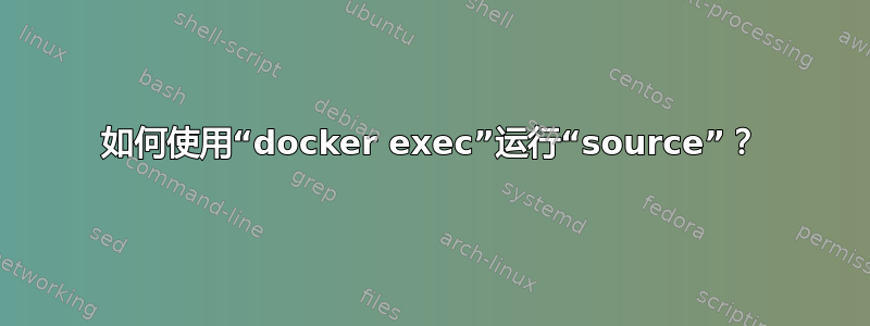 如何使用“docker exec”运行“source”？