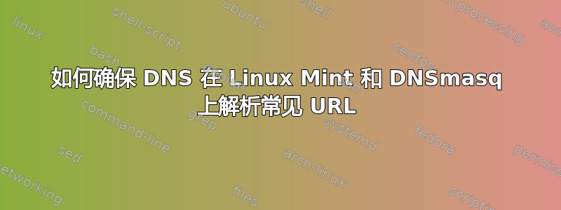 如何确保 DNS 在 Linux Mint 和 DNSmasq 上解析常见 URL