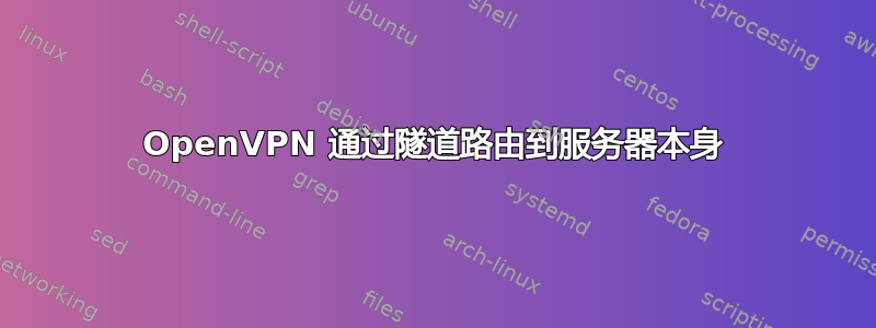 OpenVPN 通过隧道路由到服务器本身