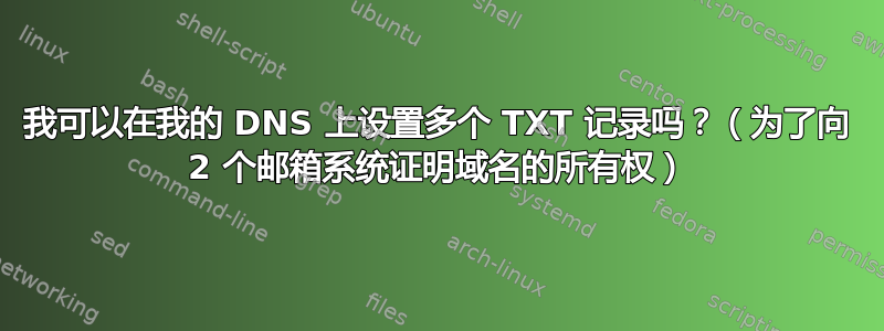 我可以在我的 DNS 上设置多个 TXT 记录吗？（为了向 2 个邮箱系统证明域名的所有权）