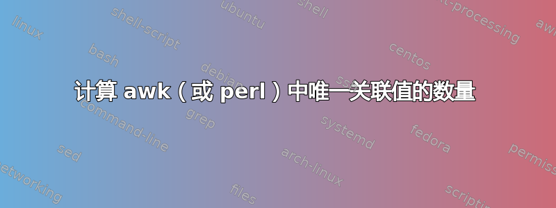 计算 awk（或 perl）中唯一关联值的数量