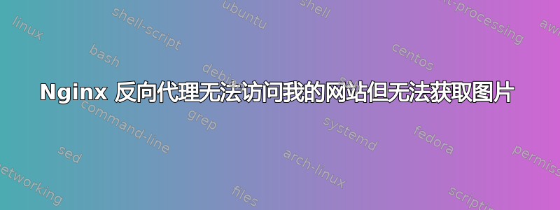 Nginx 反向代理无法访问我的网站但无法获取图片