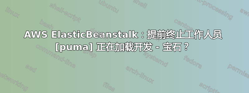 AWS ElasticBeanstalk：提前终止工作人员 [puma] 正在加载开发 - 宝石？