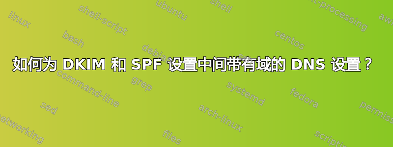 如何为 DKIM 和 SPF 设置中间带有域的 DNS 设置？