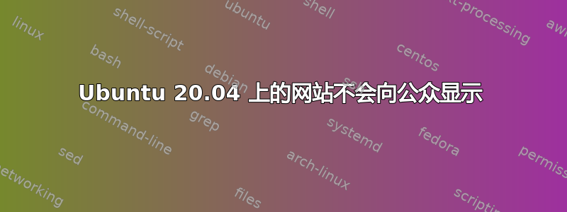 Ubuntu 20.04 上的网站不会向公众显示