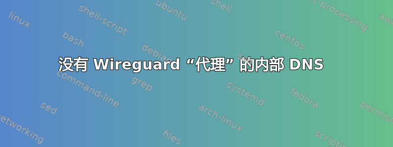 没有 Wireguard “代理” 的内部 DNS 