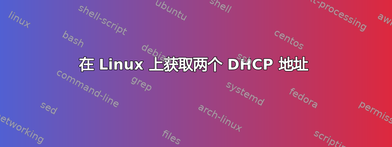 在 Linux 上获取两个 DHCP 地址