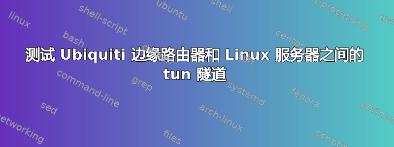 测试 Ubiquiti 边缘路由器和 Linux 服务器之间的 tun 隧道