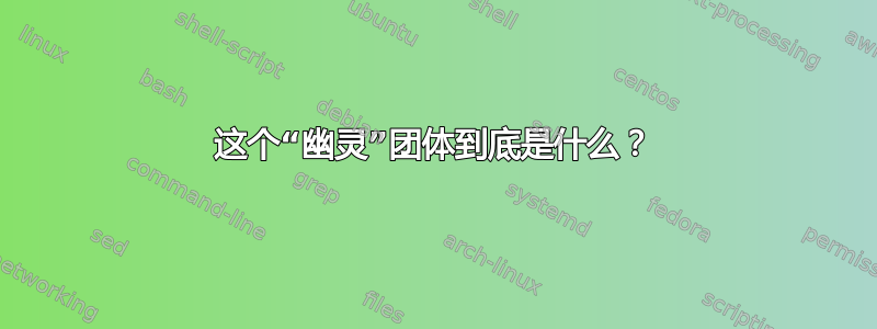 这个“幽灵”团体到底是什么？