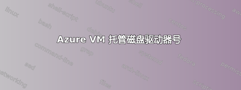 Azure VM 托管磁盘驱动器号