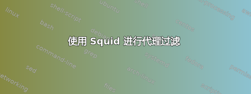 使用 Squid 进行代理过滤