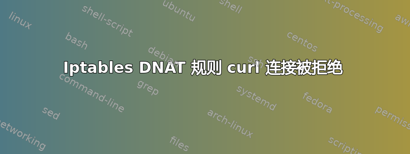 Iptables DNAT 规则 curl 连接被拒绝