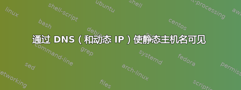 通过 DNS（和动态 IP）使静态主机名可见